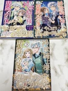 神獣騎士様の専属メイド~無能と呼ばれた令嬢は、本当は希少な聖属性の使い手だった
