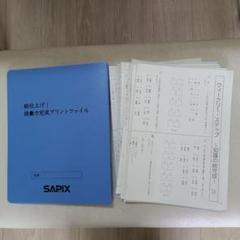 SS特訓 冬期講習 正月特訓　語彙力完成プリント　サピックス　❴非売品❵ サピックス 国語 語彙力完成プリント（ファイル付き）（SS特訓14