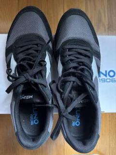 勝生勇利ユーリオンアイスMIZUNOスニーカー24.5cmYURI on ICE