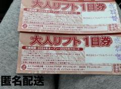 白馬五竜&Hakuba47 リフト券 大人2枚