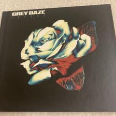 GREY DAZE / AMENDS