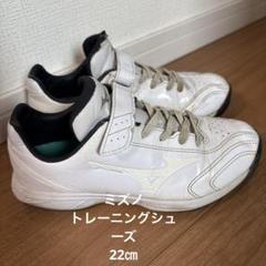 ミズノ　トレーニングシューズ ブルーホワイト MIZUNO 【ミズノ】WAVE LIGHTNING LOW WIDE アベスポーツ別注