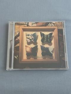 ミニマムジーク Fuzzy 廃盤CD ミニマムジーク / Fuzzy | CD,日本,ギターロック / 歌モノ,新品