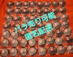 こはく 缶バ 56個 星之所向 星の向こう こはく 缶バ 56個 星之所向 星の向こう正規 品