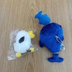 Amazon.co.jp: 超素敵城崎マリンワールドイルカちゃんぬいぐるみ