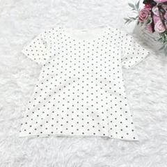 6698 イエナ ドット柄カットソー トップス Tシャツ カジュアル ベーシック