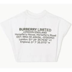 2025年最新】バーバリー tシャツ キッズの人気アイテム - メルカリ