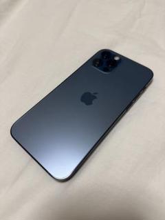 iPhone 15pro 256GB 香港版 マナーモード時　シャッター音無し iPhone 15pro 256GB 香港版 マナーモード時 シャッター音無し