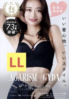 2025年最新】アップミースタイリングブラ ボルドーの人気
