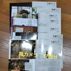 2025年最新】亀カメラ亀梨和也切り抜きの人気アイテム - メルカリ