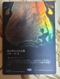 踏み鳴らされる地　ボーダーレスfoil