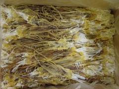 期間限定再開　『国産無添加食品』【大好評前浜するめ足・だるま:各400g 】 m55334705731_1.jpg?1746784490