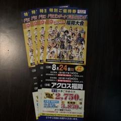 Z-Brats グッズ | DRAGONGATE WEBSHOP