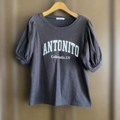 フリークスストア　パフスリーブカレッジロゴT 半袖Tシャツ