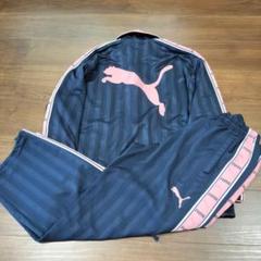 プーマ ジャージ セットアップ ピンク ユニセックス Y2K PUMA