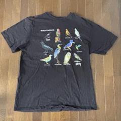 2025年最新】california birds teeの人気アイテム - メルカリ