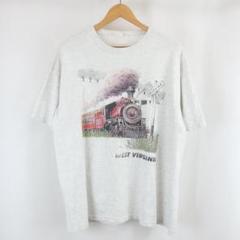 80s-90s VINTAGE USA製 WEST VIRGINIA Tシャツ