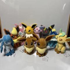 イーブイ　進化系　コンプリート　ぬいぐるみ ポケモン　10体セット ポケモン公式 on X: 