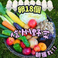マミー様 野菜セット果物追加 卵1 朝採れ！ 野菜 果物 の詰め合わせとでかたまご18個 野菜セット