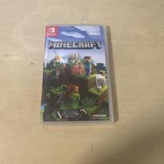 Minecraft Nintendo Switch