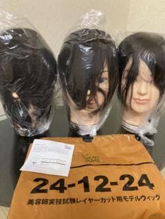 美容師国家試験対応ウィッグ　カット済み 美容師国家試験 国試カットウィッグ - メルカリ