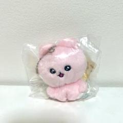 チェゴシム ガチャガチャ うさゴシム
