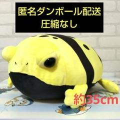 もちもち カエル クッション ぬいぐるみ　 イエロー　キオビヤドクガエル