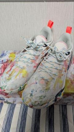 LI-NING　Way of Wade　Dlo1　カンバス