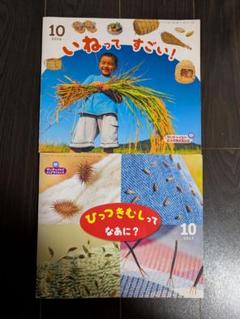 2025年最新】サンチャイルド ビッグサイエンスの人気アイテム