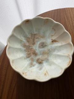 梅本勇 器3点セット 食器 小皿 プレート CATEGORY 梅本 勇 | たびするうつわや hokkori