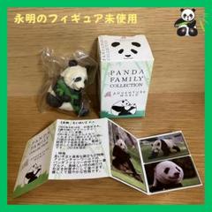 非売品♦️結浜　収穫祭カード　アドベンチャーワールド 2025年最新】アドベンチャーワールド結浜の人気アイテム - メルカリ