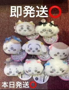 ちいかわ ミニがまぐち～リボン～　コンプリートセット　即日発送