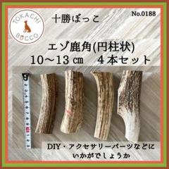 【エゾ鹿角】　端材MIX 19.5㎏ 61y5pk5a+ZL._UF350,350_QL80_.jpg