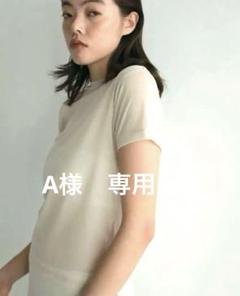 anuke ベージュ シースルー Tシャツ新品未使用 anuke ベージュ シースルー Tシャツ新品未使用 - メルカリ