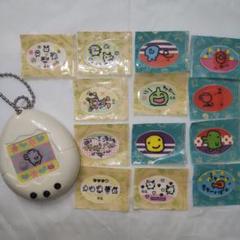 てんしっちのたまごっち　ばんそうこう　1箱1ダース12個　販売キットセット てんしっちのたまごっち｜トレファクONLINE