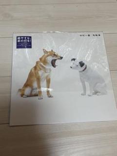 【最安値】 2025年最新】中村一義 メルカリ - レコードの人気アイテム 邦楽