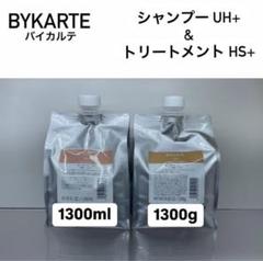 2025年最新】バイカルテ トリートメント hsの人気アイテム