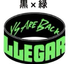 匿名配送 ELLEGARDEN ラバーバンド ラババン セット 未使用