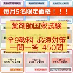薬剤師国家試験 直前対策問題集 9科目 薬剤師国家試験 直前対策問題集 9科目 - メルカリ