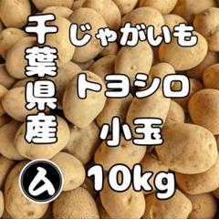 おさるさま　新じゃが　メークイン約２０キロ Amazon | ジャガイモ メークイン 秀品 25年新物 茨城県産 M・L