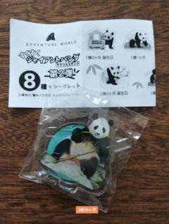 アドベンチャーワールド アクリルスタンド（セット） アドベンチャーワールドグッズ✨ 🐼🧡🐼🧡🐼🧡🐼 可愛い和歌山の