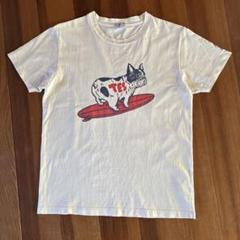 エンドレスサマー　tes tシャツ 美品！