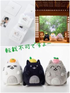 アーティストメイド　ぬいぐるみ3体セット ジュン 2025年最新】Seventeen ジュン アーティストメイドの人気