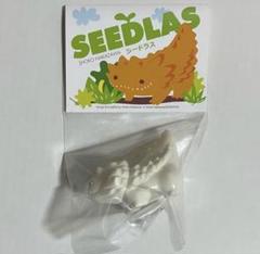SEEDRAS シードラス　ナカザワショーコ 2025年最新】ナカザワショーコの人気アイテム - メルカリ