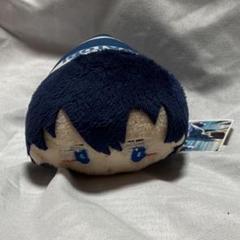ハイスピード！ free カラビナ付きぬいぐるみ 七瀬遙 セーラー服 Free!ぬいぐるみ ちょこんとフレンズ 七瀬 遙 [Free!] | 公式