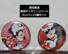 東京ディズニーリゾート ピンズ まとめ売り TDR 東京ディズニーリゾート 25周年記念 来園者配布品 ミッキー