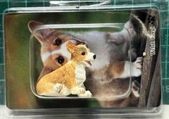 ハートをぎゅっと！横抱きわんこピアス（コーギー） 楽天市場】【222 deux cent vingtdeux】 肉球 スタッド ピアス