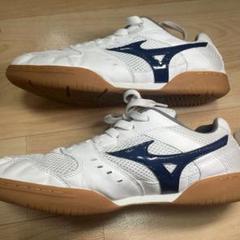 m55540112826_1.jpg?1710556943