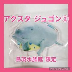 2025年最新】鳥羽水族館 ジュゴンの人気アイテム - メルカリ