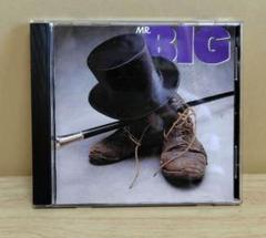 2025年最新】MR.BIG tenの人気アイテム - メルカリ